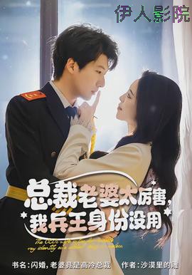 总裁老婆太厉害，我兵王身份没用