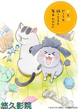 养狗与猫每天都很开心