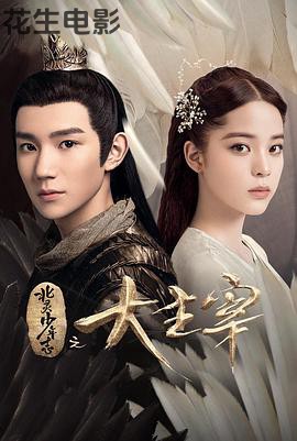 北灵少年志之大主宰