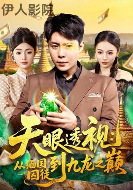 天眼透视：从缅国囚徒到九龙之巅